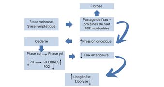 Etiopathogénie des HLDS